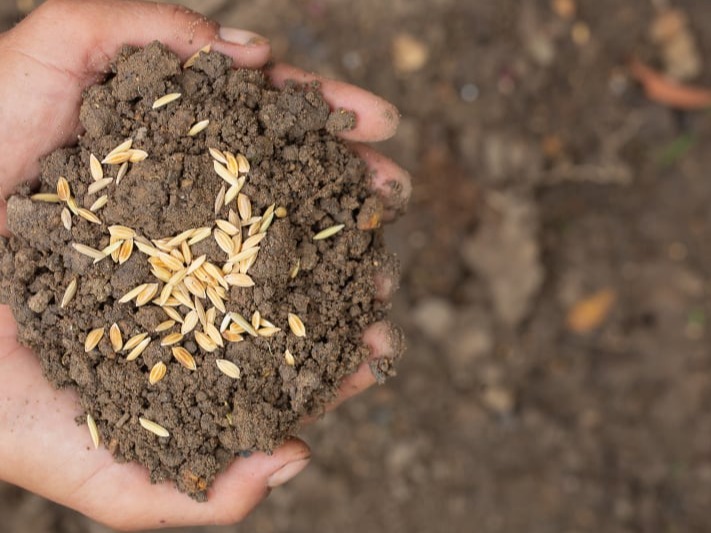 Selección de materiales